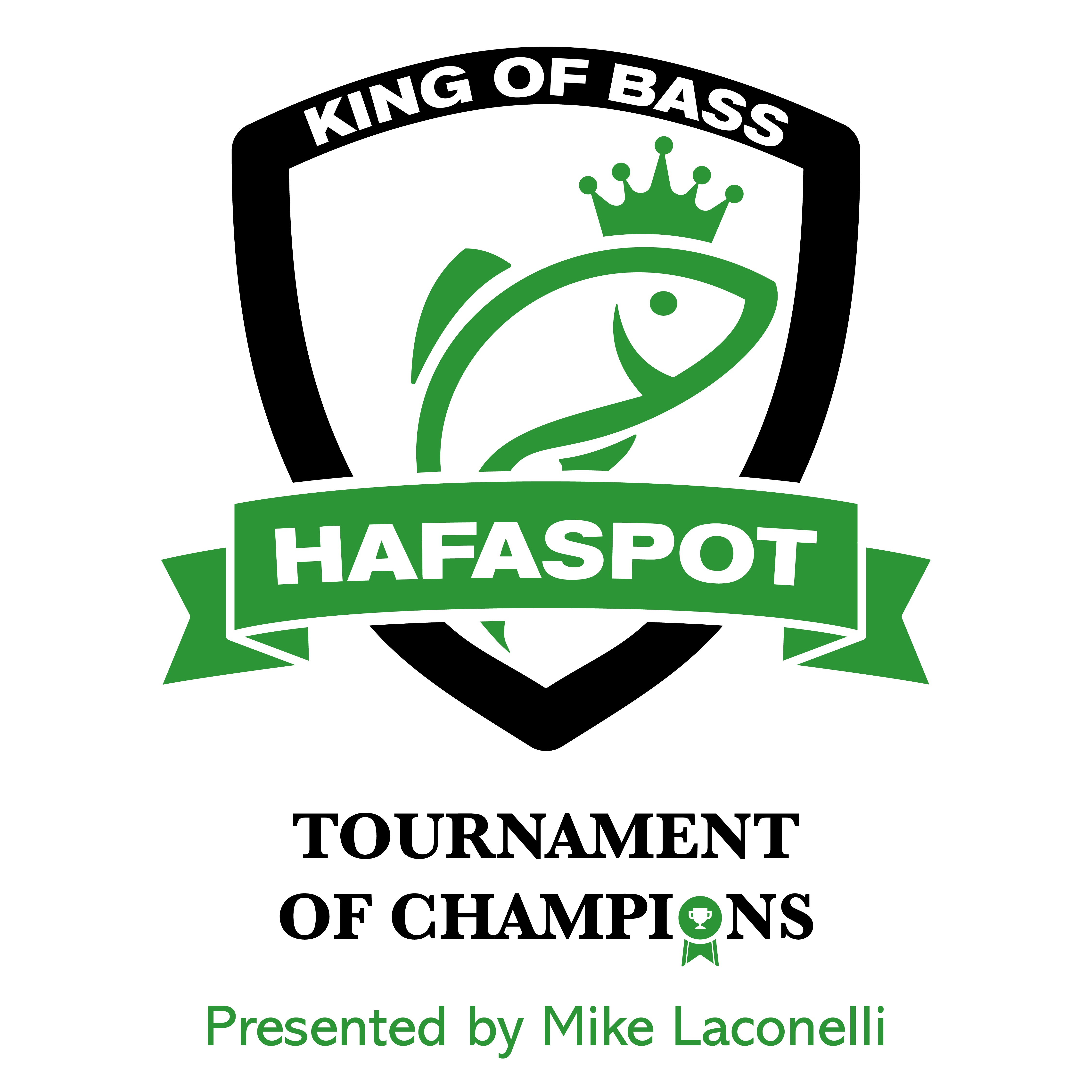 HAFASPOT logo 2